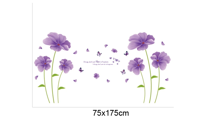 XL8197 (7)
