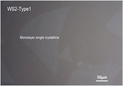 WS2-type1__