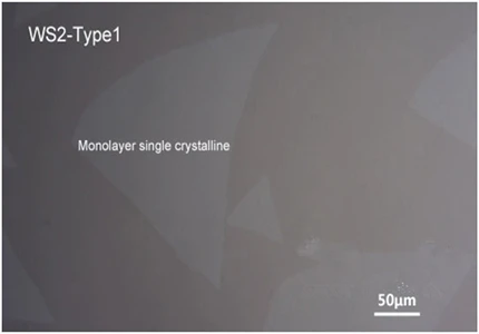 Вольфрам дисульфид 02: SiO2/Кремниевая подложка WS2/300nm