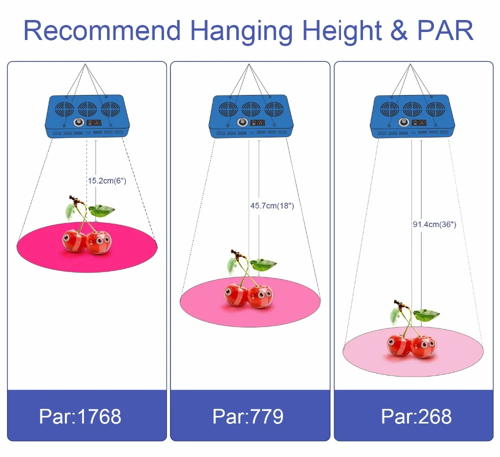 5.PAR