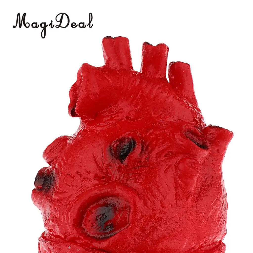 Lifelike Human Heart Model-Chop Shop Body Part Organ Halloween Horror Prop Decorations School Lab Supplies Student Toy 16cm