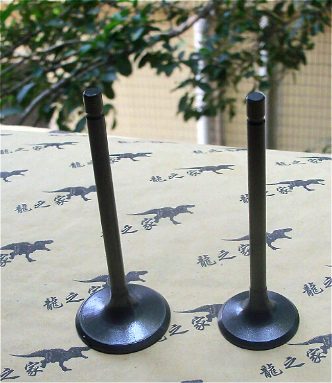 TB28HgveFXXXXcqXpXXXXXXXXXX_!!1919554440