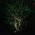 Bliss Laser Lights Static Christmas Light Show Waterproof Outdoor Lighting Home Party Light Bliss Laser Lights Static Christmas Light Show Waterproof Outdoor Lighting Home Party Light