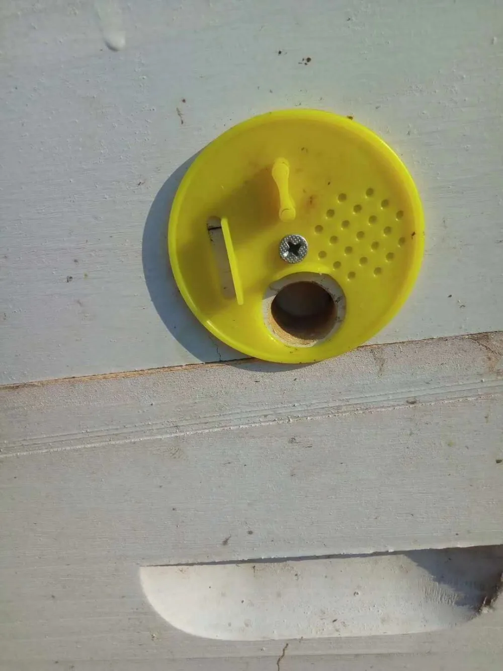 10 шт./компл. Hive дверь(случайные цвета) для пчеловодства коробка пластиковый входной диск пчелы гнездо ворота