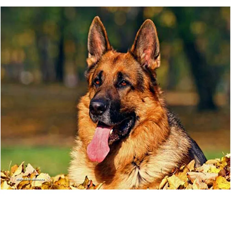 Pintura De Diamant De Navidad Para Colorear Por Números, Pintura De Perro Con Luz Solar, 3D