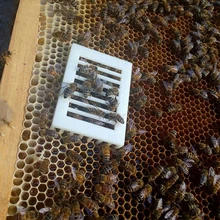 6x пластик белая королева пчела клетка-изолятор выращивание Ловец пчеловодства Безопасный инструмент