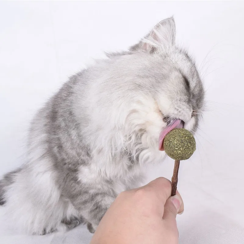 1 шт. кошачий кот леденец ИГРУШКА КОСТЬ для чистки зубов кошачий мячик снек-палка здоровый питомец кот Мятные игрушки Кот мята Серебряная лоза палка для кошки