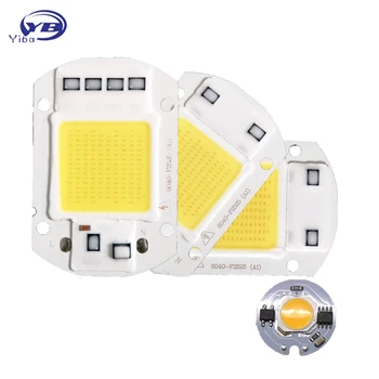 

LED COB Chip 220V 240V 3W 5W 7W 9W 20W 30W 50W cold white warm white LED Bulb Lamp Input Smart IC Flood Light Spotlight
