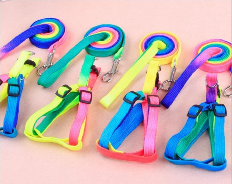 D71_Colorful_Nylon_Dog_Harness_with_leash_lead_Cheap_Rainbow_Small_Puppy_Dogs_Cats_Harness_Set_for_Yorkshire_Pet_Accessories_8