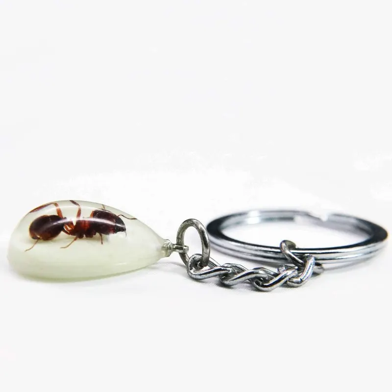 Мини насекомых капли воды реальный светится в темноте насекомых муравей искусство ювелирные кольца для ключей сумка Шарм Llaveros Para Hombre индивидуальный брелок IVR