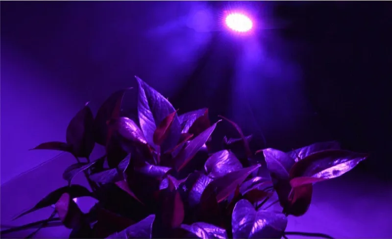 led grow bulb001