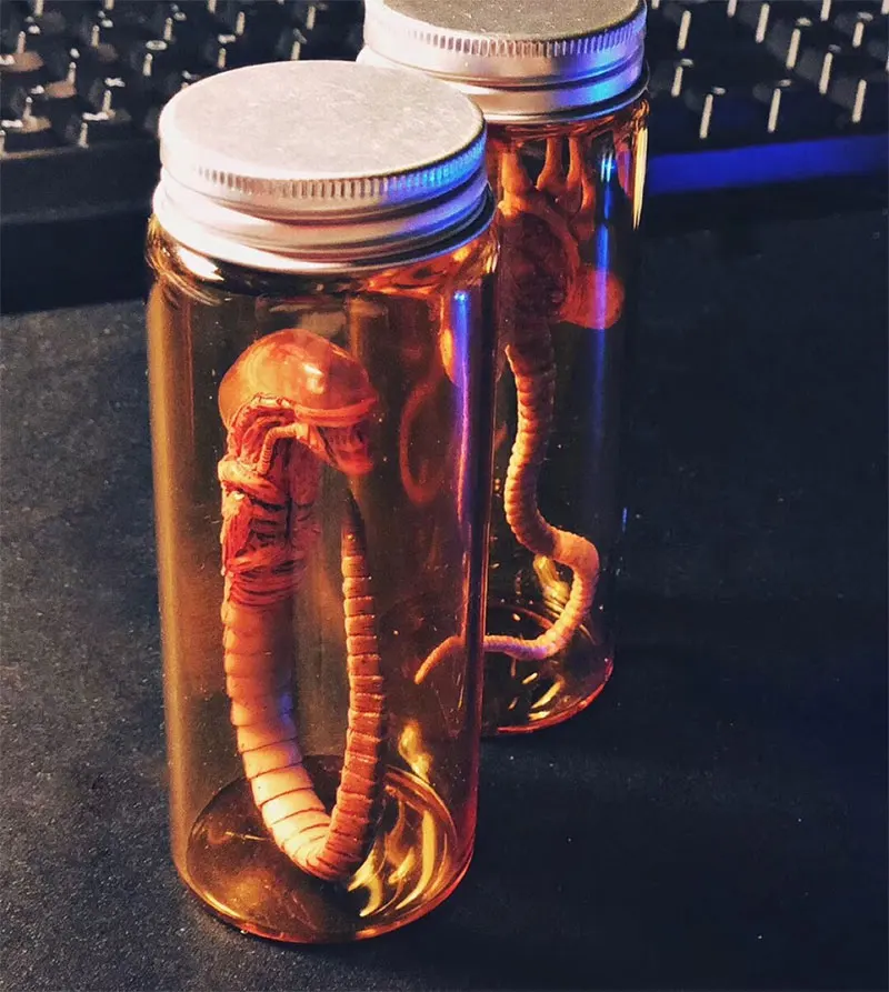 未标题-12