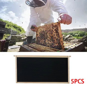 

Beehive 5 Frame Kit 5 Foundation 5 Deep Frames For Langstroth Beekeeping Pine