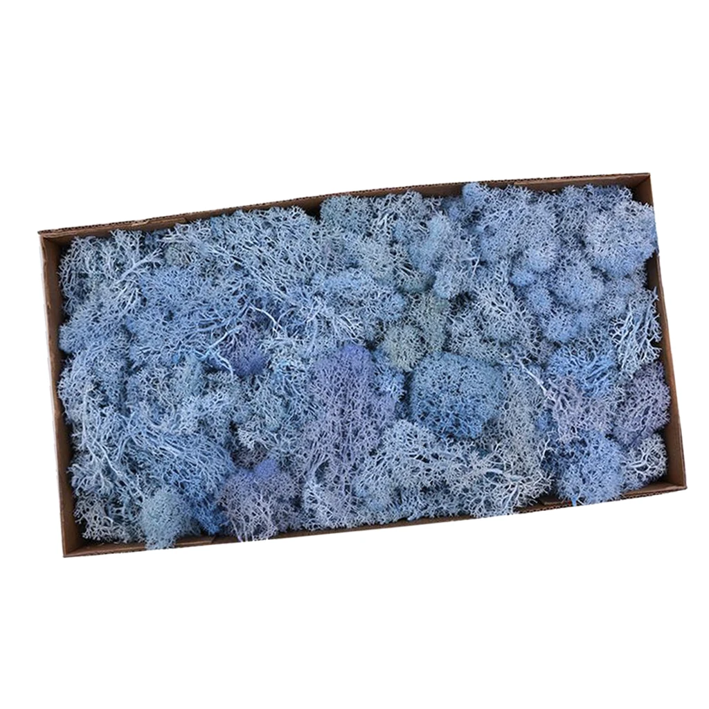 Colorful Artificial Moss Plant DIY Dried Reindeer Moss Floral Crafts Flowers for Plant Pot Garden Home Wedding Decor
