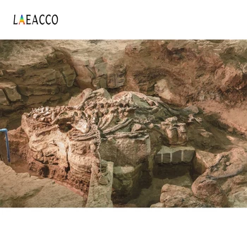 

Laeacco Jurassic Dinosaur Fossil Archaeology Child Photography Backgrounds Customized Photographic Backdrops For Photo Studio