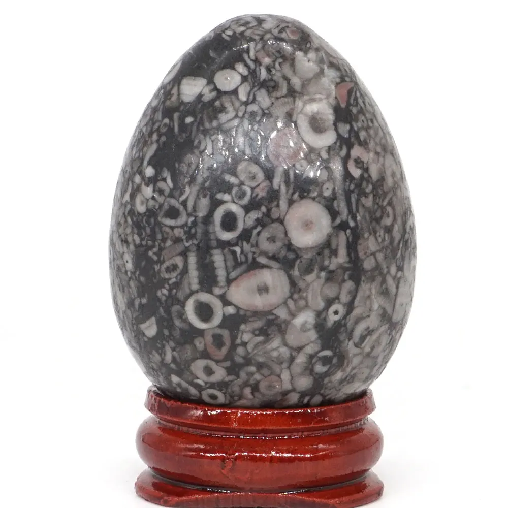 

35*49MM Crinoid Fossil Jasper Egg Natural Gemstone Crystal Mineral Healing Ball Home decoration accessory Kegel Massage Yoni Egg