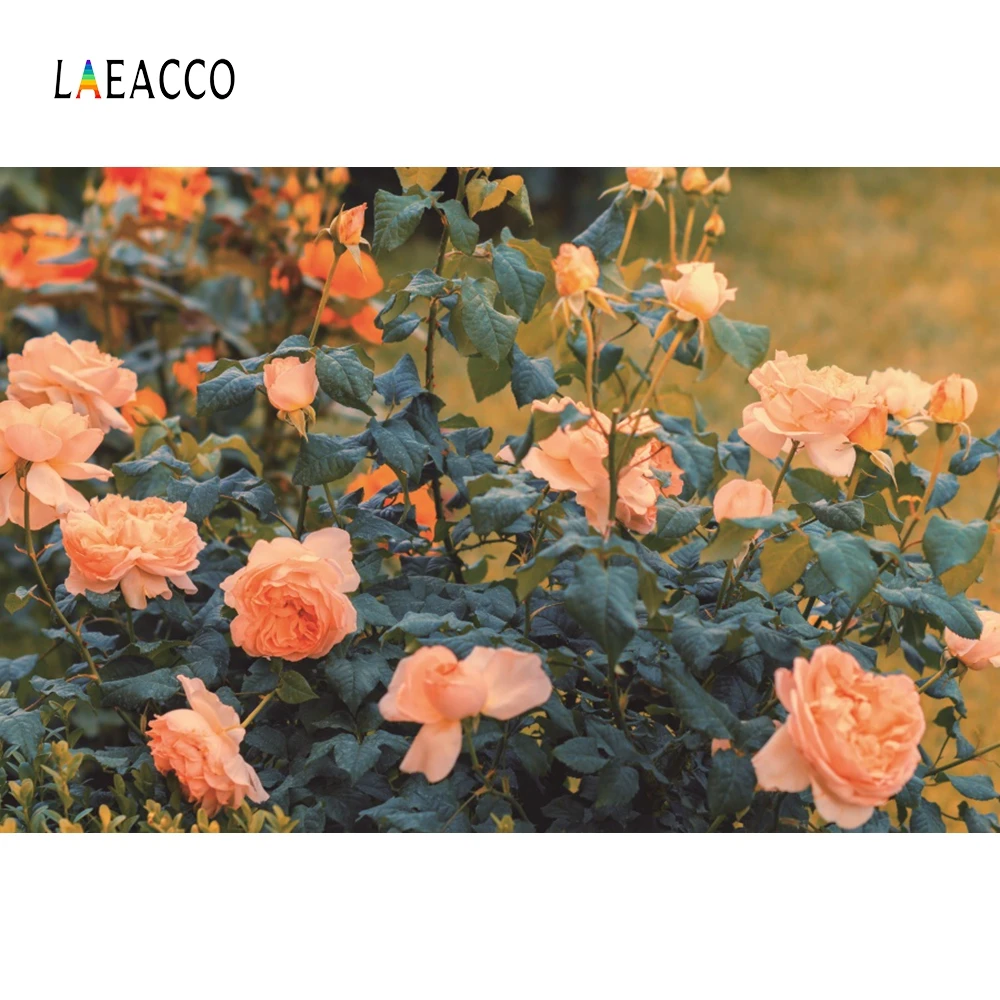 

Laeacco Real Natural Flowers Background Wall Scene Simple Portrait Photography Vinyl Baby Photographic Backdrop For Photo Studio