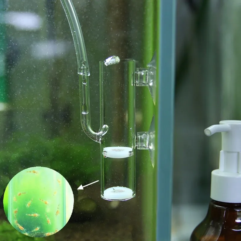 2 шт. больших яиц инкубаторы высокое качество стекло кислородная инкубационная трубка для хрустальных креветок декоративные креветки аквариум