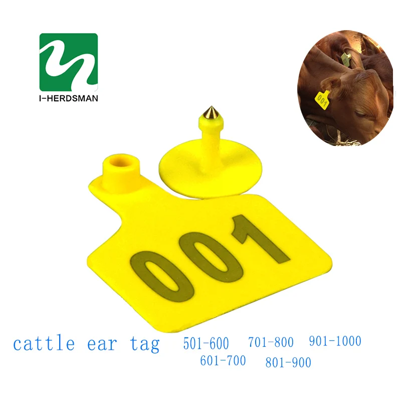 Animaux De Ferme Carte D Identite Vache Bovins Tpu501 1000
