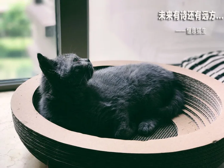 Изделия для домашних кошек круглой формы гофрированная бумага поцарапать любимая доска