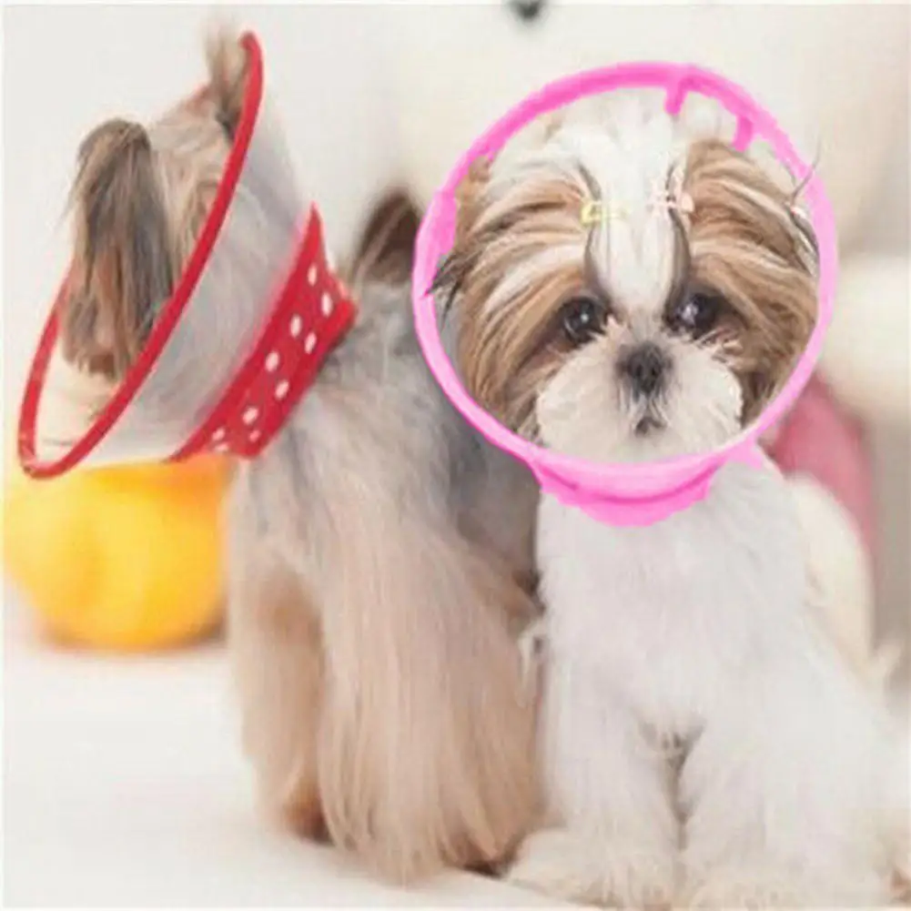 

TPFOCUS Pet Wound Healing Protective Cone Collar Random Color Safety Simple High Quality Pet Cat Dog Rope 2019