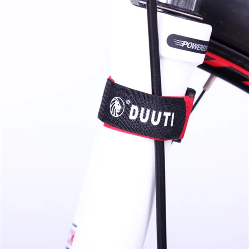 2519009 (2)
