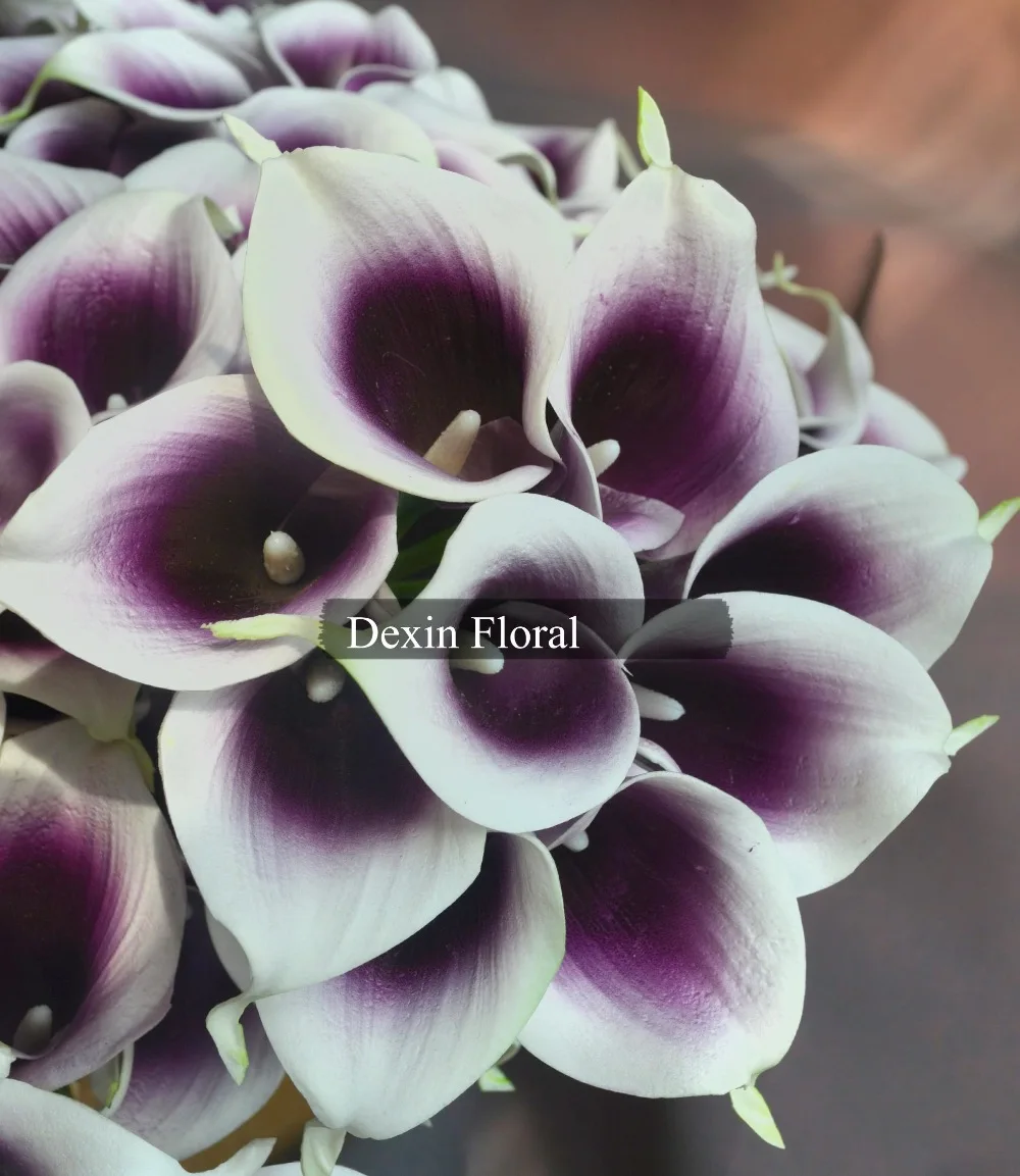 Buy Real/Natural Touch Mini Stunning White inner Purple Picasso Calla Lily for
