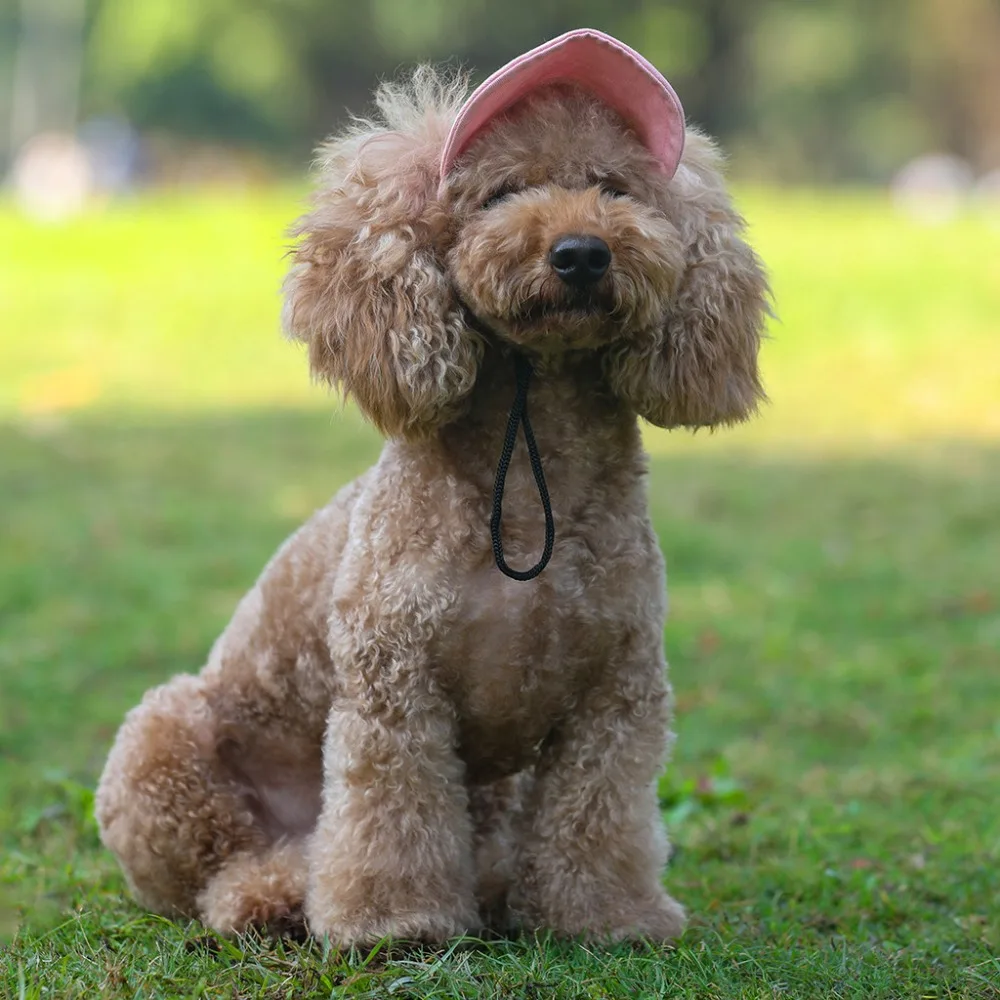 Шляпа для животных с ушными отверстиями, спортивная бейсболка для собак, защита от солнца, Регулируемая пряжка, дизайн, уличная износостойкая Кепка для собак L4