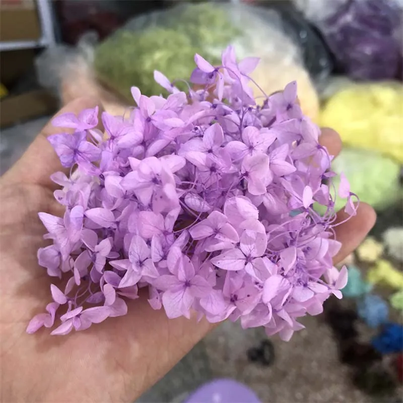 3 g/lote de alta calidad Natural de flores frescas conservadas secas Hortensia flor cabeza para DIY Real vida eterno flores Material