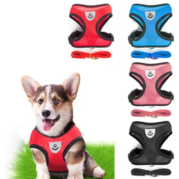 

Puppy Cat Harness Vest For Small Dogs Chihuahua arnes para perro Dog Accessories Breathable Mesh Dog Harness and Leash Set 35