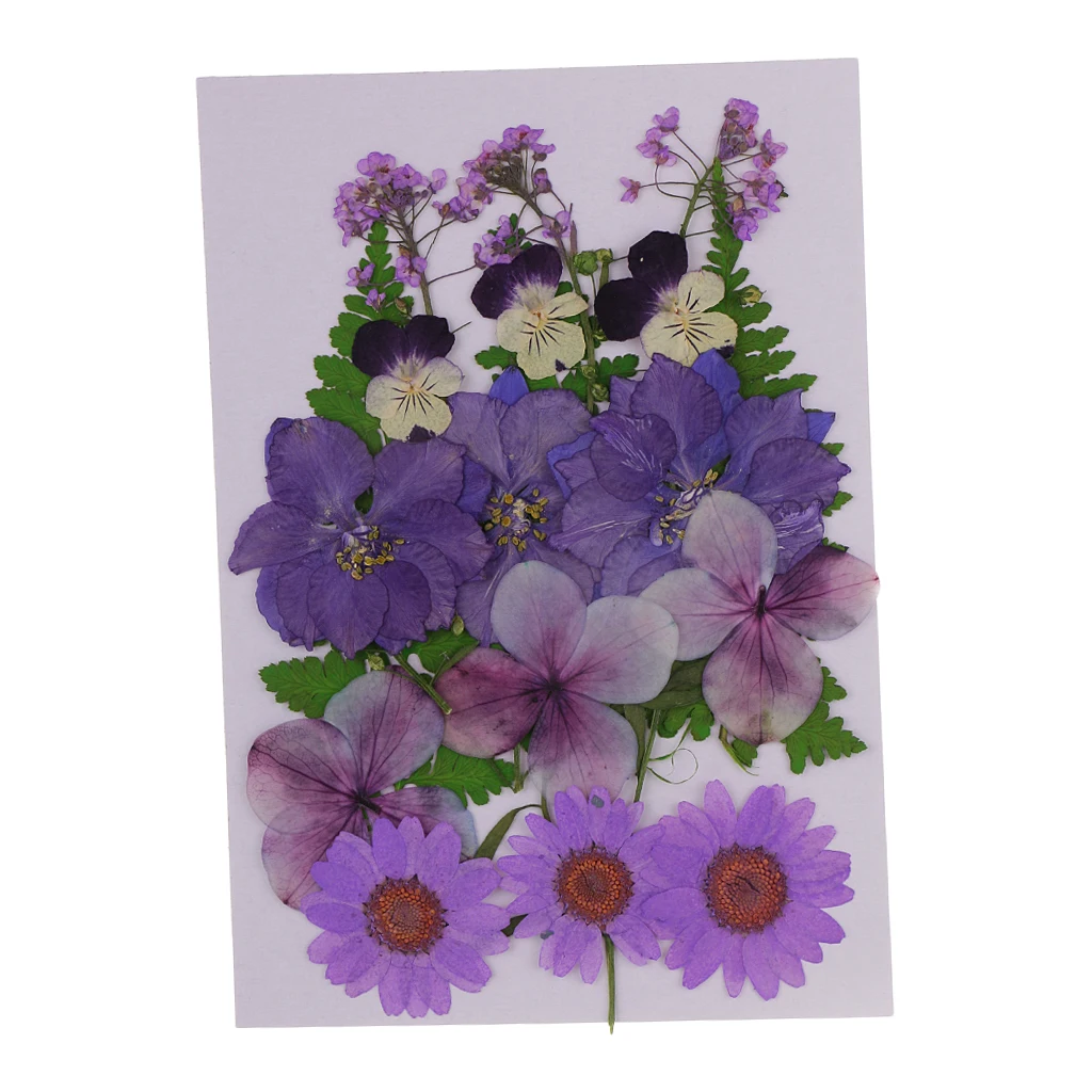 Multiple Mix Natural Pressed Dried Flowers Leaves Artificial Decorations for Greeting Card Making DIY Art Craft  2.5-3.5cm