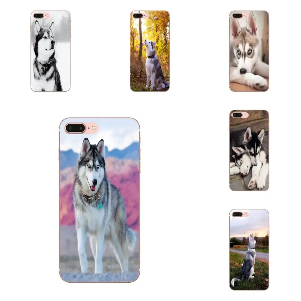

Siberian Husky Cute Puppies Dogs Soft Cases Skin For Huawei Honor 4C 5A 5X 6A 6C 6X 7X 9 V8 V10 Mate 7 8 10 P9 P20 Pro Lite Play