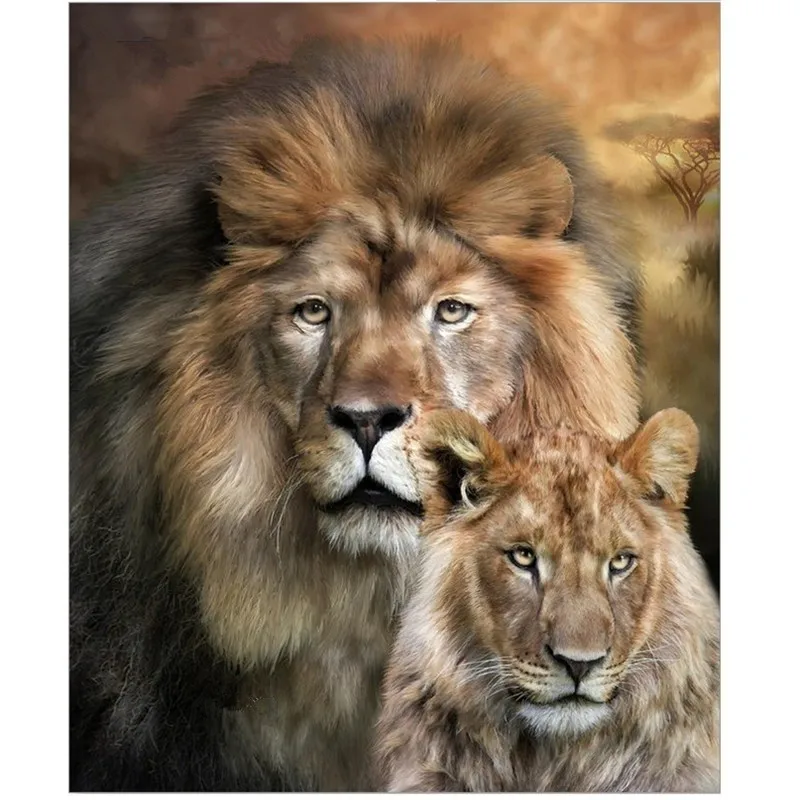 Buy Diy Diamond painting head Lions 30x40cm Diamond
