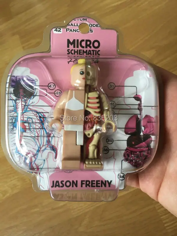 4D master vision Micro female Dissected figfunny модель Jason Freeny каркас анатомической
