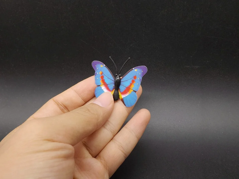 I266-Butterfly (1)