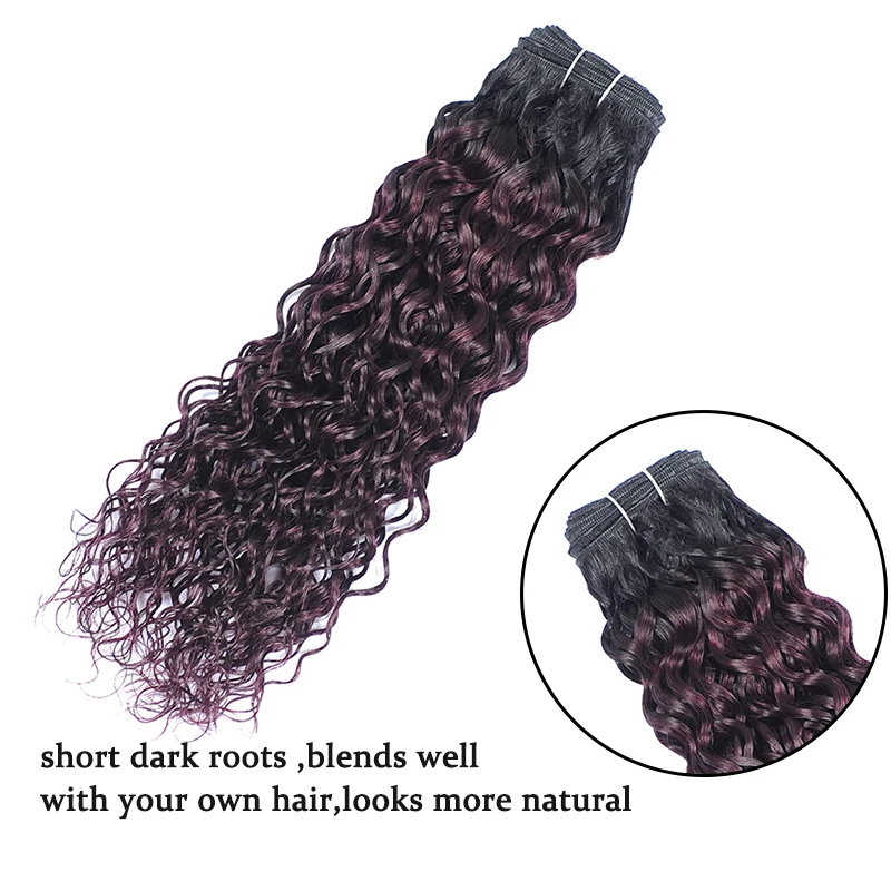 Dark Purple Ombre Brazilian Water Wave Bundles With Closure Human