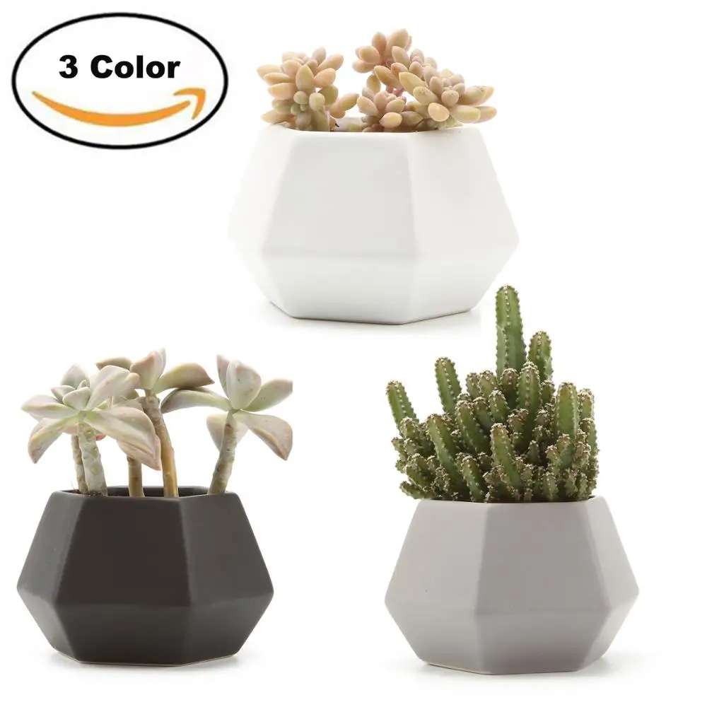 

T4U Ceramic Hexagonal Pattern Semi-Luster Surface succulent Plant Pot Cactus Plant Pot Flower Pot Container Planter Matte