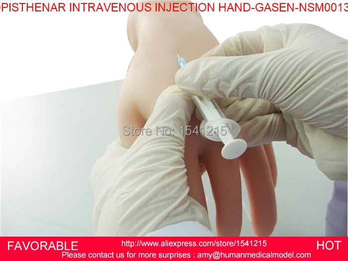 IV TRAINING HAND, IV INJECTION HAND MODEL,VENIPUNCTURE HAND,MEDICAL OPISTHENAR INTRAVENOUS INJECTION HAND-GASEN-NSM0013