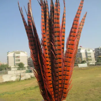 

Wholesale 100 pcs beautiful orange Pheasant Feather 16-18 inches 40-45 cm free shipping