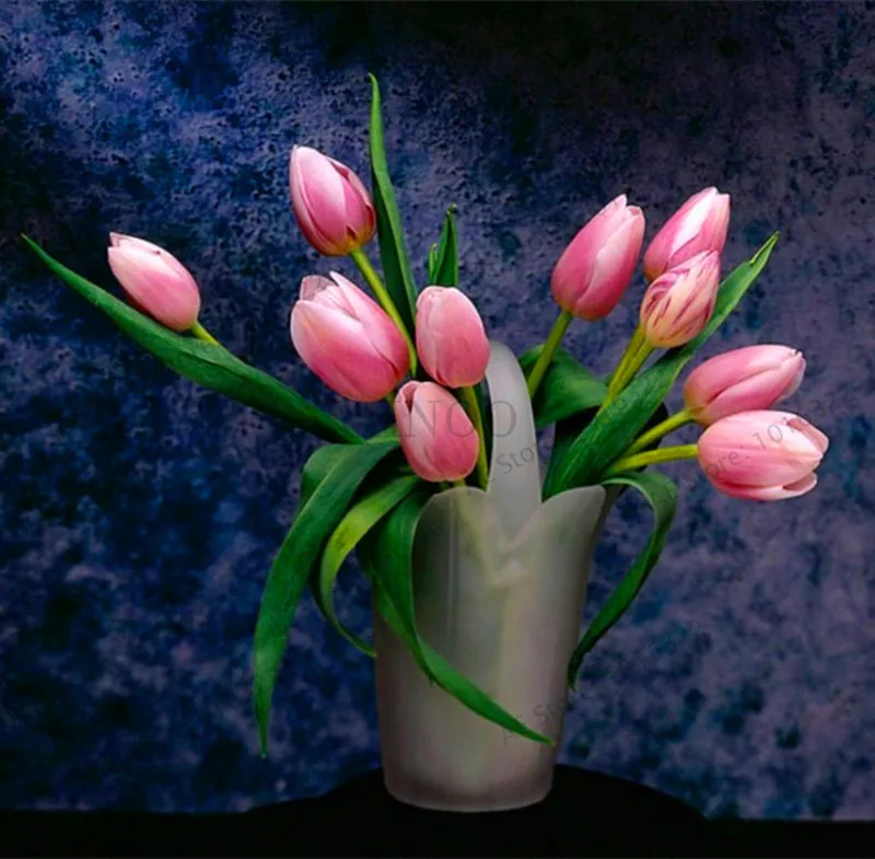 Различные цвета голландских тюльпанов цветов тюльпанов Флорес, Бонсай завод для домашнего сада и двора, 101 шт/упаковка - Цвет: 7