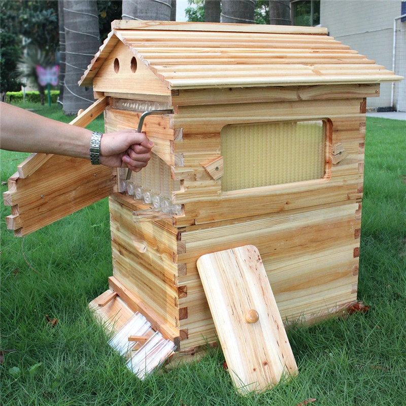 Aliexpress.com : Buy Free shipping Auto honey flow hive