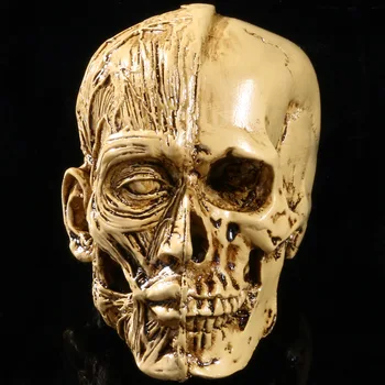 

Art Painting Skeleton Model Medical Science Resources Skull Mold Face Muscle Skull Home Halloween Decoration Kids Gifts