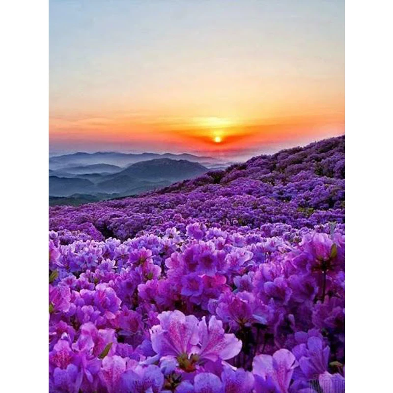 

Full 5D Diy Daimond Painting Phalaenopsis Flower Sea 3D Cross Stitch Full Rhinestones Diamant Painting Embroidery Decorations