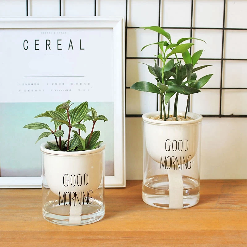 

1Pc Automatic Watering Planter Pot Ceramic Flowerpot With Glass Water Container For Green Plants Succulent Plant Cactus