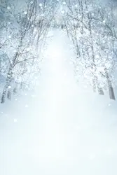 Фон для фотосессии для фотографии лес белый снег фоны для детей фон для фотографии натальные