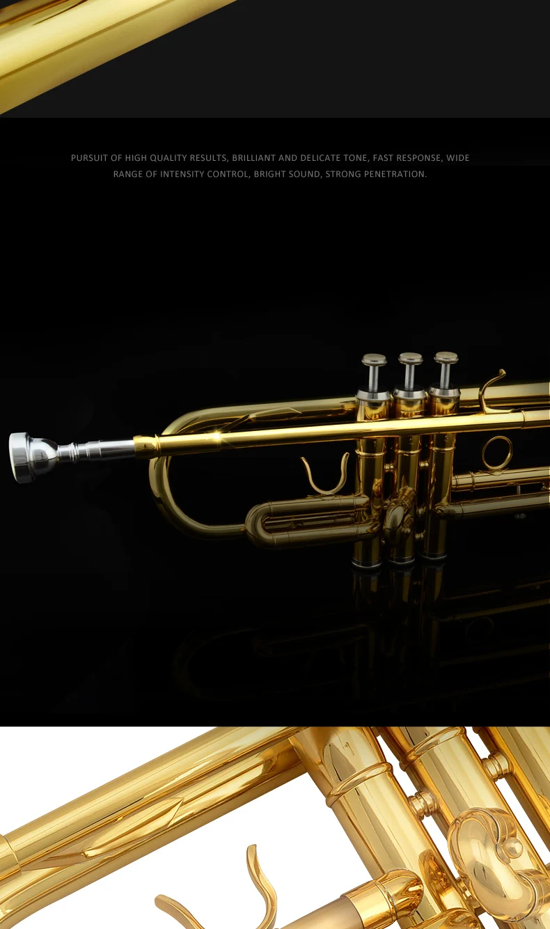 JZTR-300_06