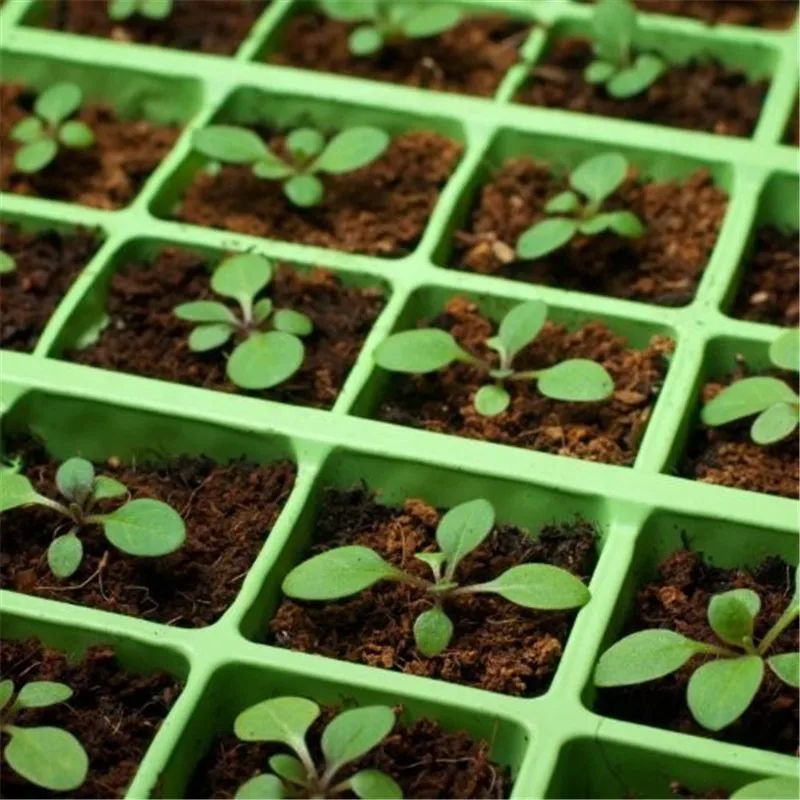 52X24cm PVC Waterproof Seedling Heat Mat Seed Starting Germination Mat For Propagation Cloning Garden Supplies 110V/220V 18W 52X24cm PVC Waterproof Seedling Heat Mat Seed Starting Germination Mat For Propagation Cloning Garden Supplies 110V/220V 18W