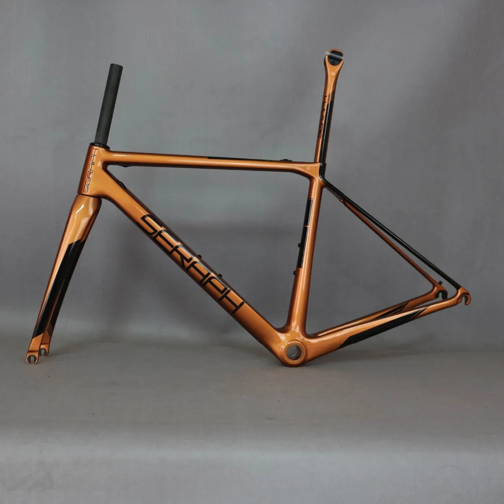 raleigh record road bike