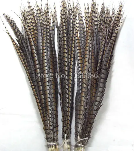 

EMS Free shipping 100pcs/lot pheasant tail feather 28-32" 70-80cm natural Lady Amherst pheasant tails
