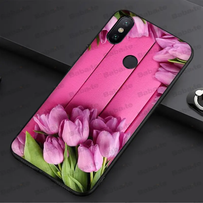 tulip flower 